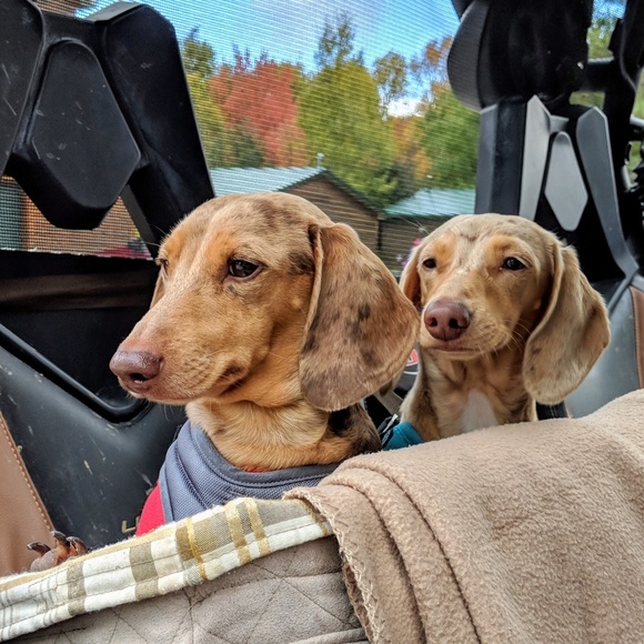 Meet your Posher, Stacy - Picture 2 of 4